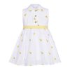 T7049 Summer Fruit Embroidered Shirt Dress Yellow